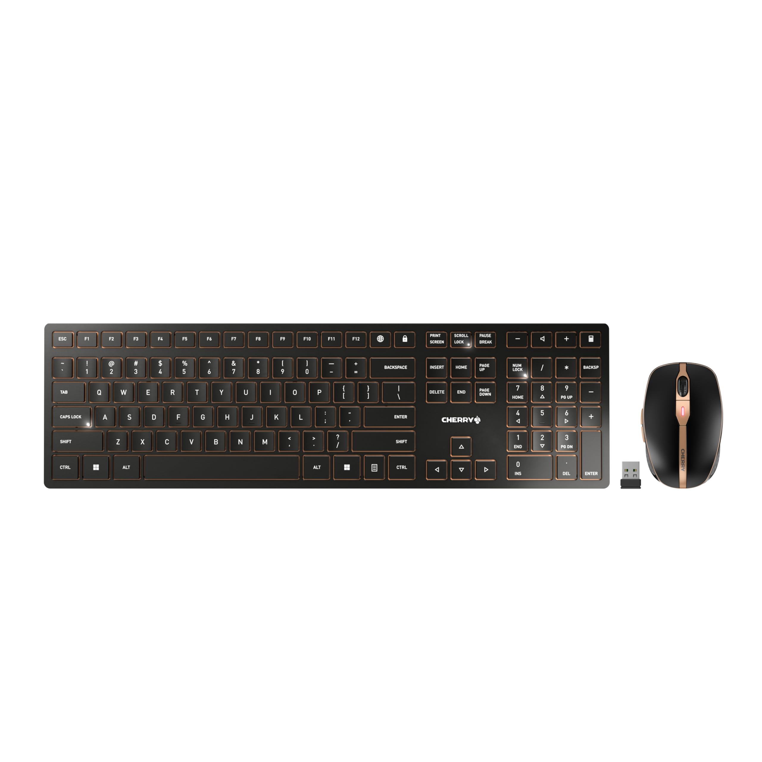 DW 9100 Slim, Wireless Keyboard and Mouse Set, Bluetooth & 2.4 GHz RF Connection, Quiet Keys, Comfortable Writing, Rechargeable, QWERTY, Black/Bronze
