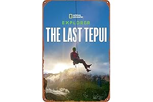 The Last Tepui: Timeless Décor for Your Abode