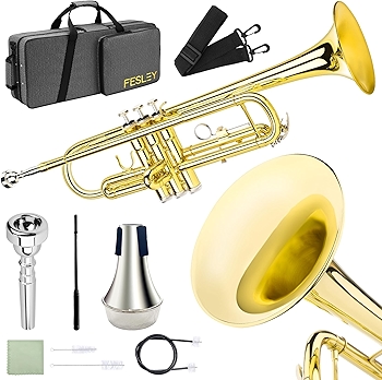 初学者金色小号套装