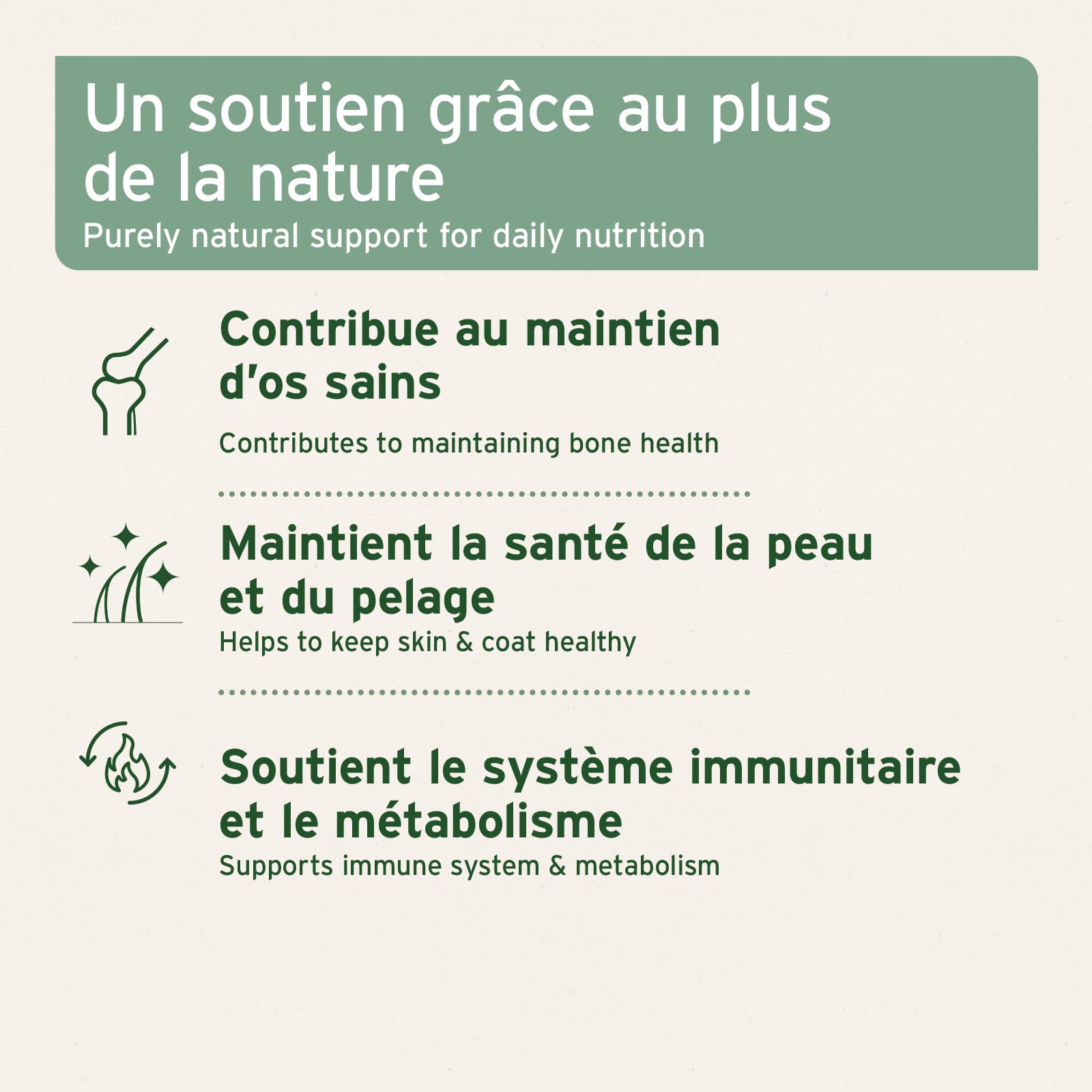 AniForte Gélules d’Huile de Saumon 500 pour Chiens & Chats – Poisson Riche en Oméga‑3 & 6, Vitamines pour Pelage, Os et Santé Globale