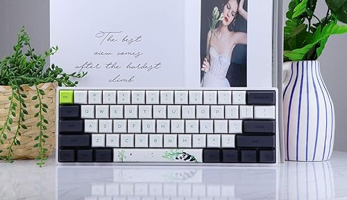 Miniatura 7 de Teclado mecánico de teclas intercambiables con retroiluminación RGB NKRO IP6X impermeable cable tipo C para WinMacJugar SKYLOONG SK61 61 de EPOMAKER