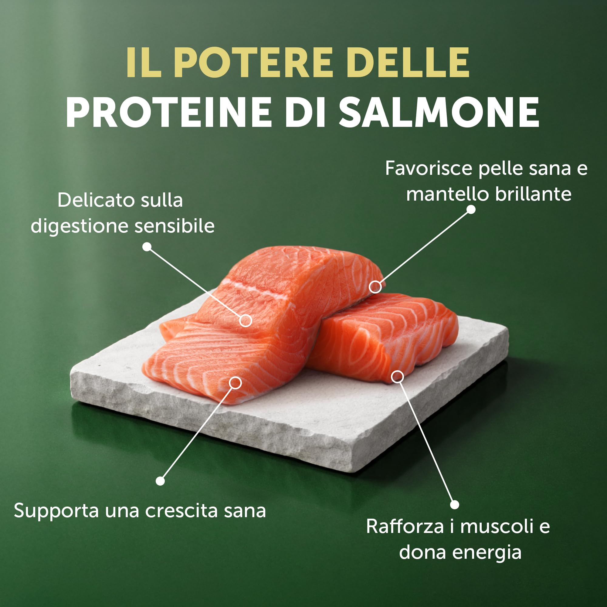 Nature's Protection Superior Care Cibo secco per cuccioli, Salmone 10 kg | Crescita sana e digestione delicata, Ipoallergenico, Crocchette piccole, Cani junior, Manti bianchi e chiari, Tutte le razze