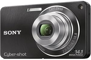 Sony DSC-W350: Capture Precious Moments with Style