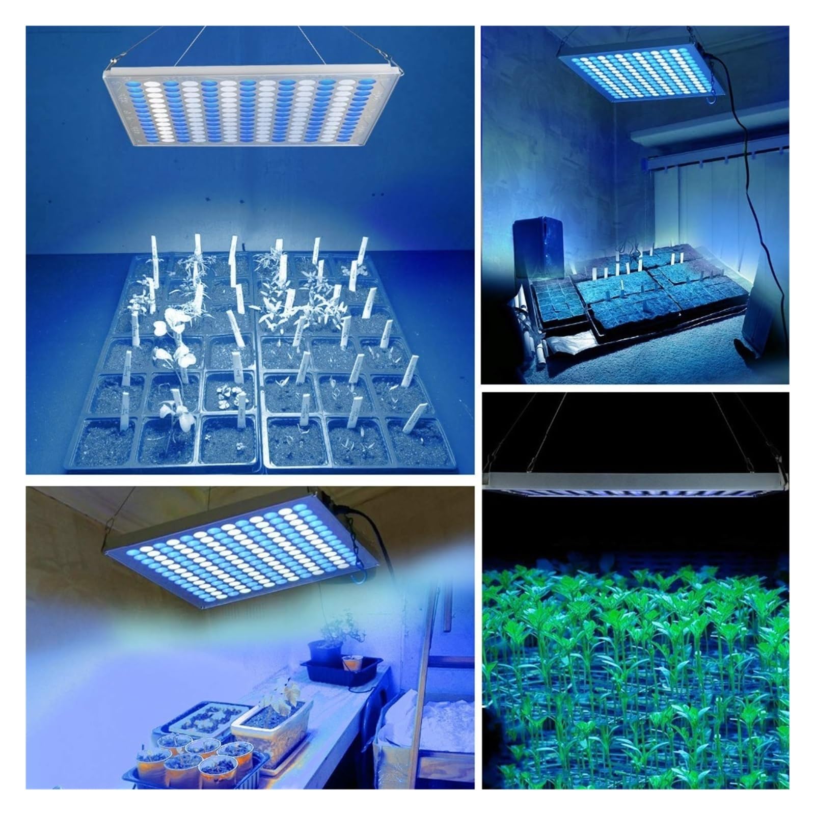 éclairage d'aquarium Aquarium LED récif lumière 75W récif corail lampe marine eau douce eau salée réservoir de poissons plante aquatique grandir éclairage Ultra panneau lumineux pour aquarium planté