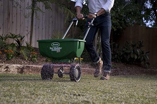 Miniatura 5 de Scotts Turf Builder Bonus S Southern Weed & Feed2, herbicida y fertilizante para césped, 5,000 pies cuadrados, 17.24 libras (paquete de 2)