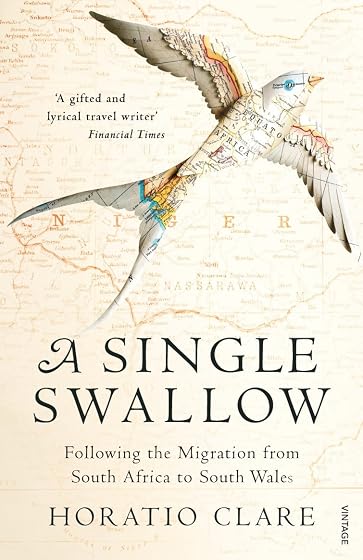A Single Swallow