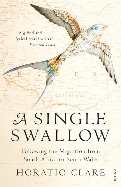 Portada de A Single Swallow