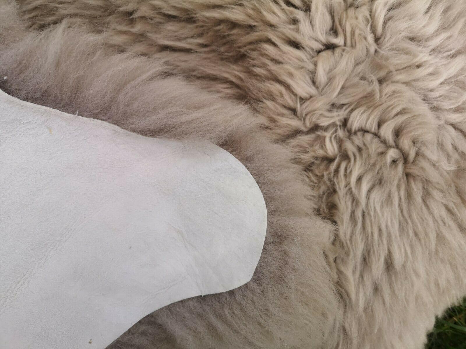 Top Öko Lammfell Schaffell Felle Taupe Neu L - XXL (100-110 cm x 50-60 cm)