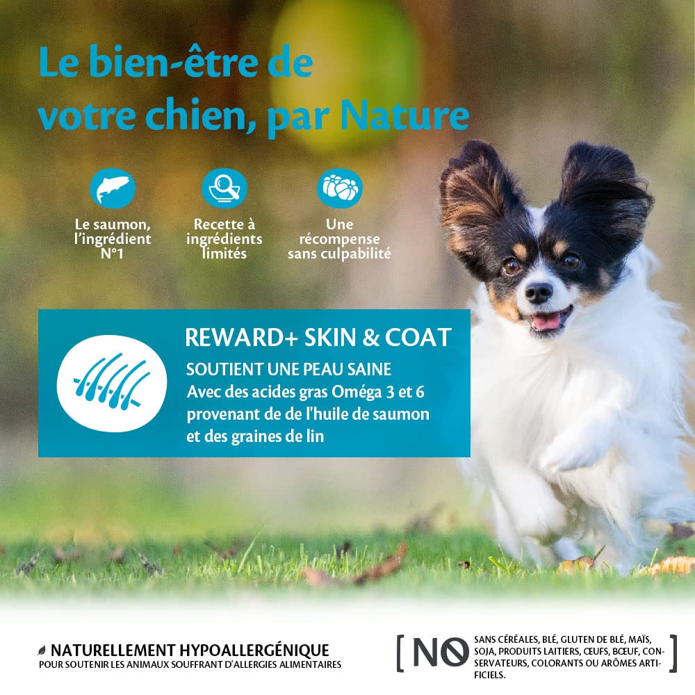 Wellness CORE Reward+ Peau & Pelage 170g, Saumon – Friandises pour Chiens, sans Céréales, Naturelles, Hypoallergénique, Riche en protéines, À Haute Teneur en Poisson, Peau Saine & Pelage Brillant