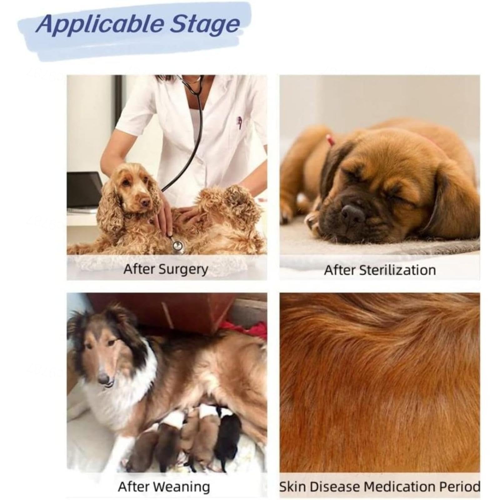 FAXIOAWA Tuta per Recupero Cani - Collare elettronico Alternativo Cono Addominale Tuta Alternativa per Recupero sterilizzazione Cani - Tuta per Recupero Cani Maschio -Vu01,Bluestripe-XXXL