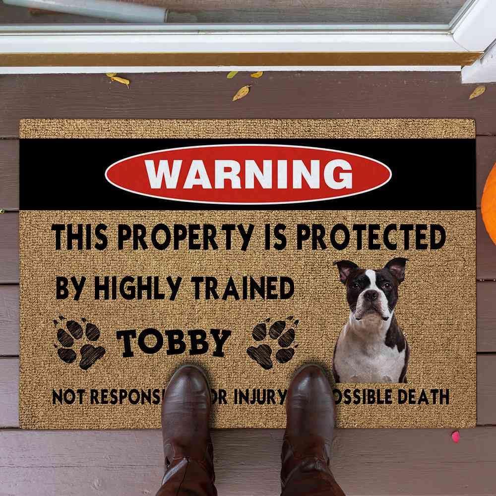 Cat Welcome Doormat - Funny 'This Property is Protected by Highly Trained Cat' Mat - 27.5"x17.7" - Customizable