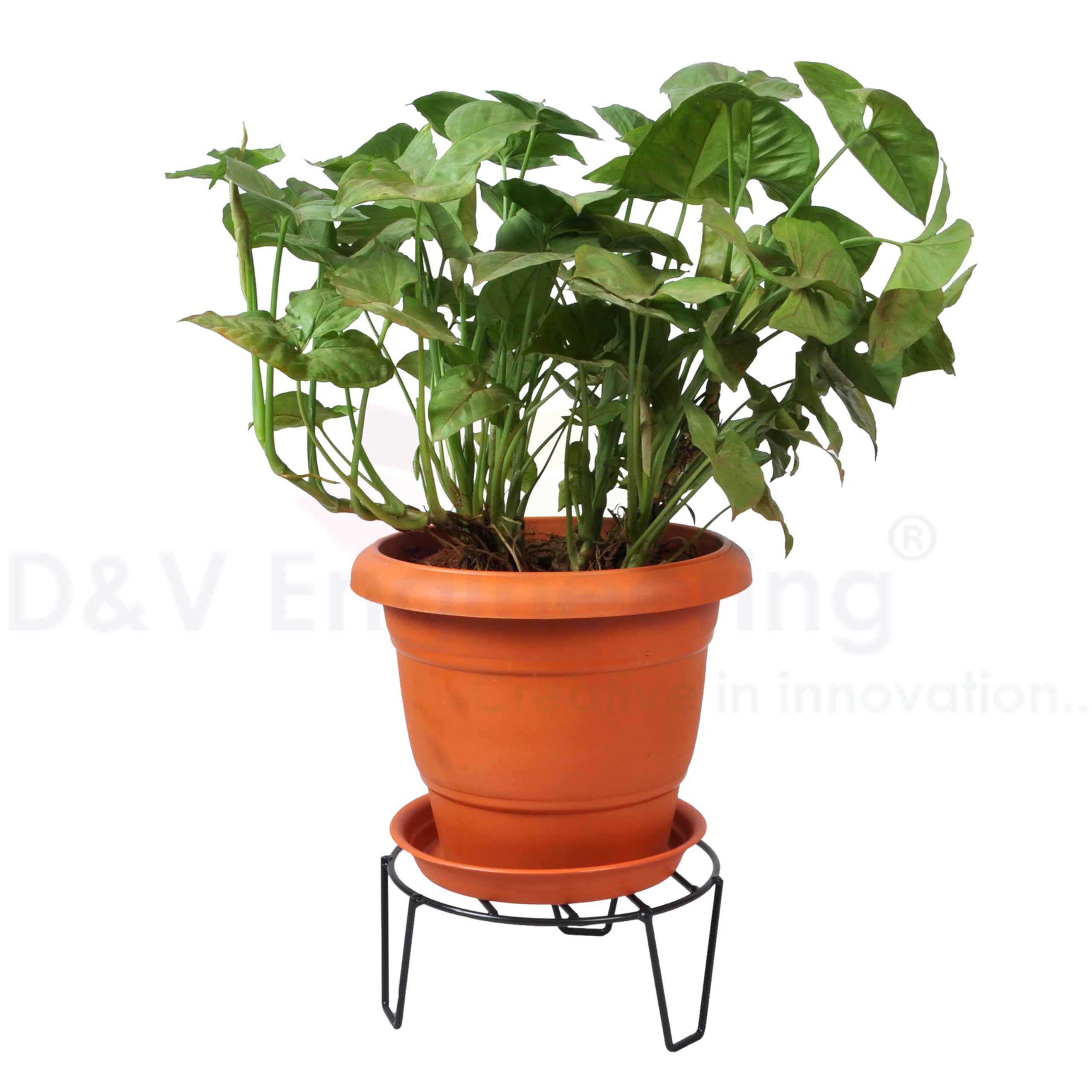 Metal Plant Stands - Set of 4 for Flowers & Pots -6