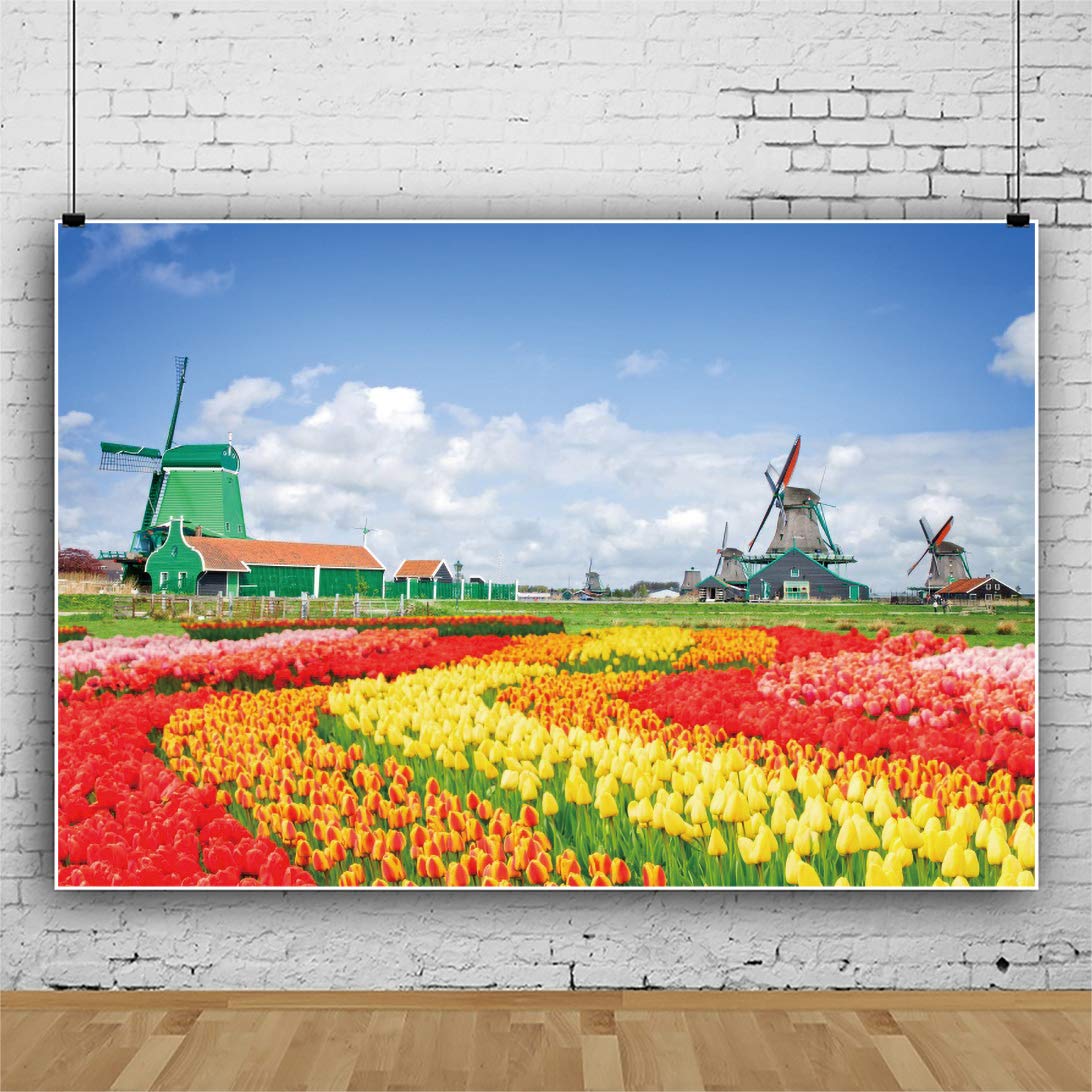 Amazon | DORCEV 9x6フィート オランダの美しいチューリップ 花畑 写真