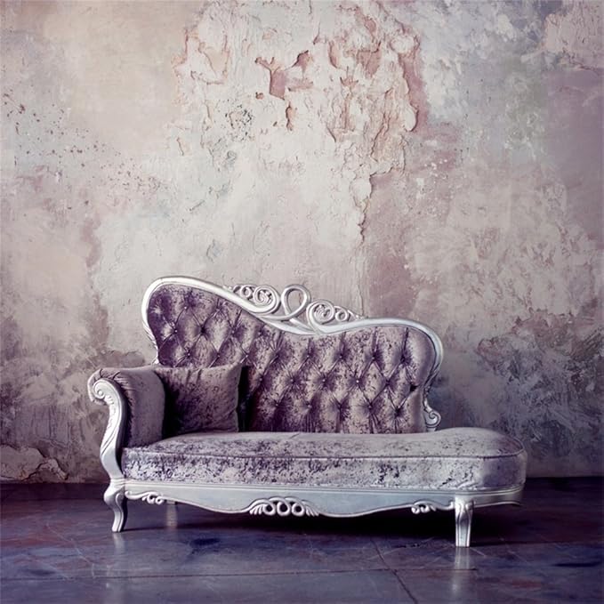 CSFOTO 6x6ft Background for Retro Luxury Baroque Sofa Photography