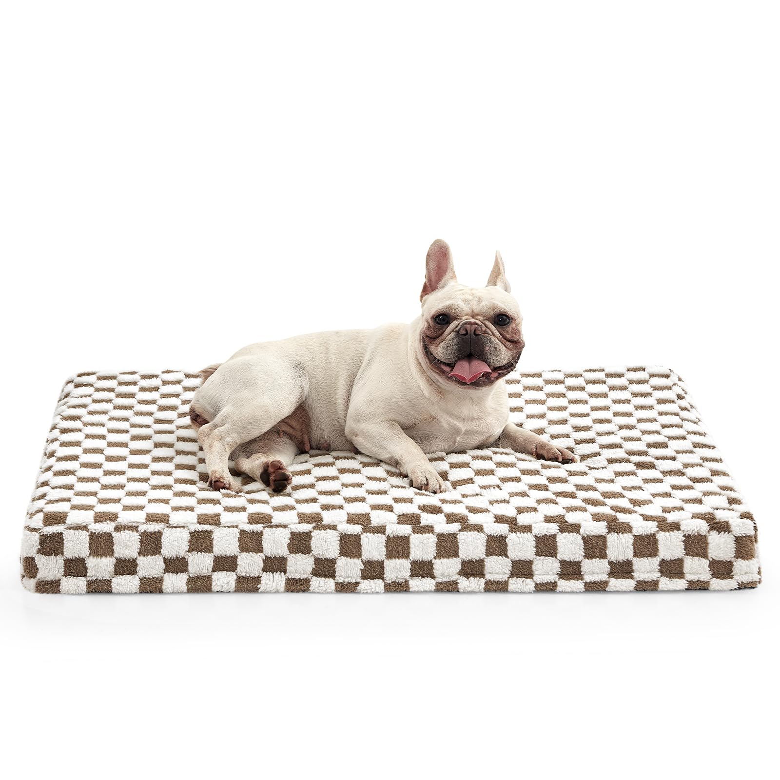 JOEJOY Dog Bed for Medium Dogs, Large Orthopedic Dog Bed with Removable Washable Cover, Cute Modern Plush & Memory Egg Crate Foam Dog Bed, 30 x 20