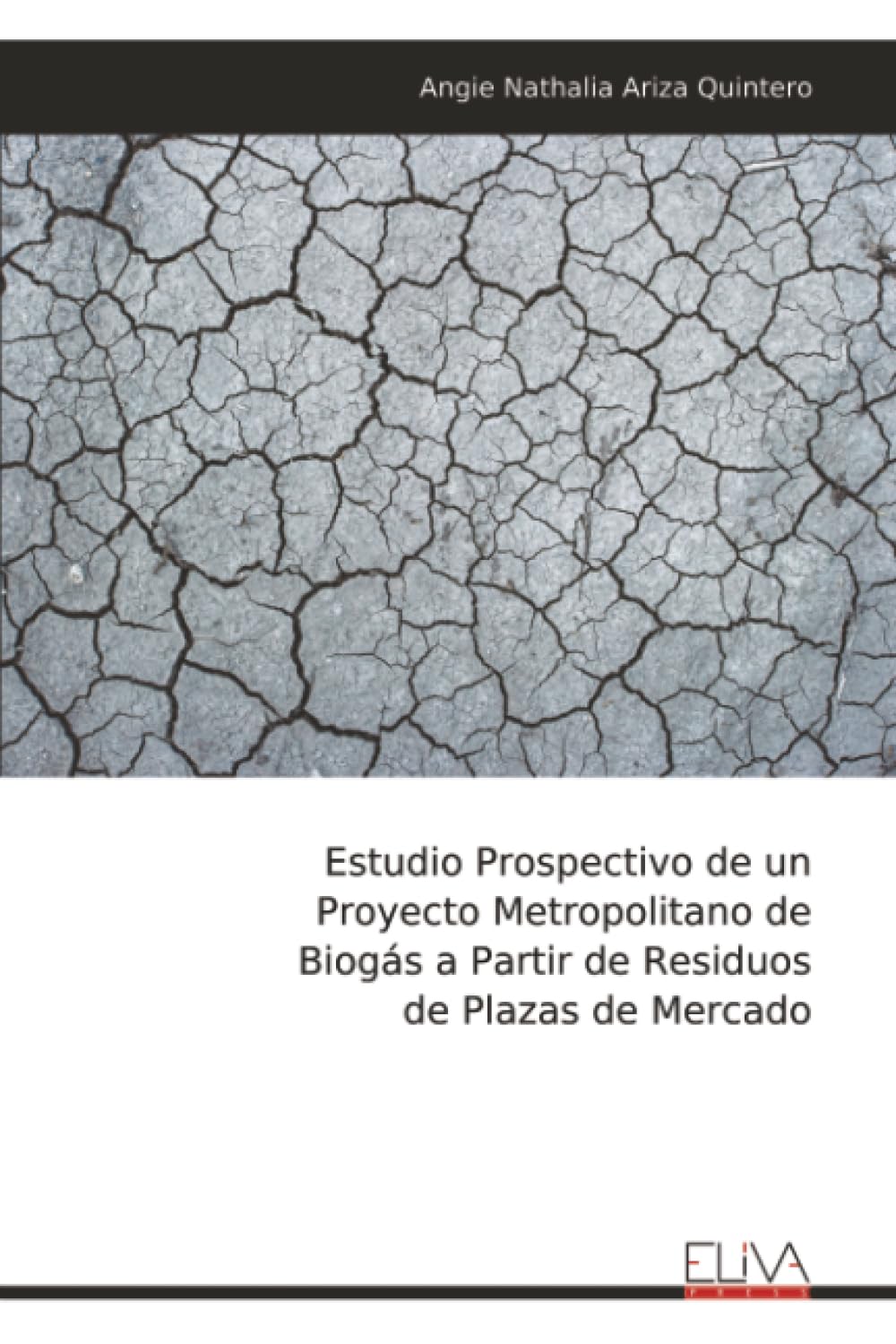 Estudio Prospectivo de un Proyecto Metropolitano de Biogás a Partir de Residuos de Plazas de Mercado