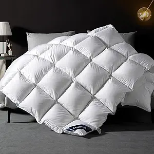 OCEANSLEEP Goose Down Comforter Queen Size - All Season White Fluffy Feather Duvet Insert with Tabs, 780 Fill Power Weight for Luxury Hotel (Queen (U.S. Standard), White/All Season)
