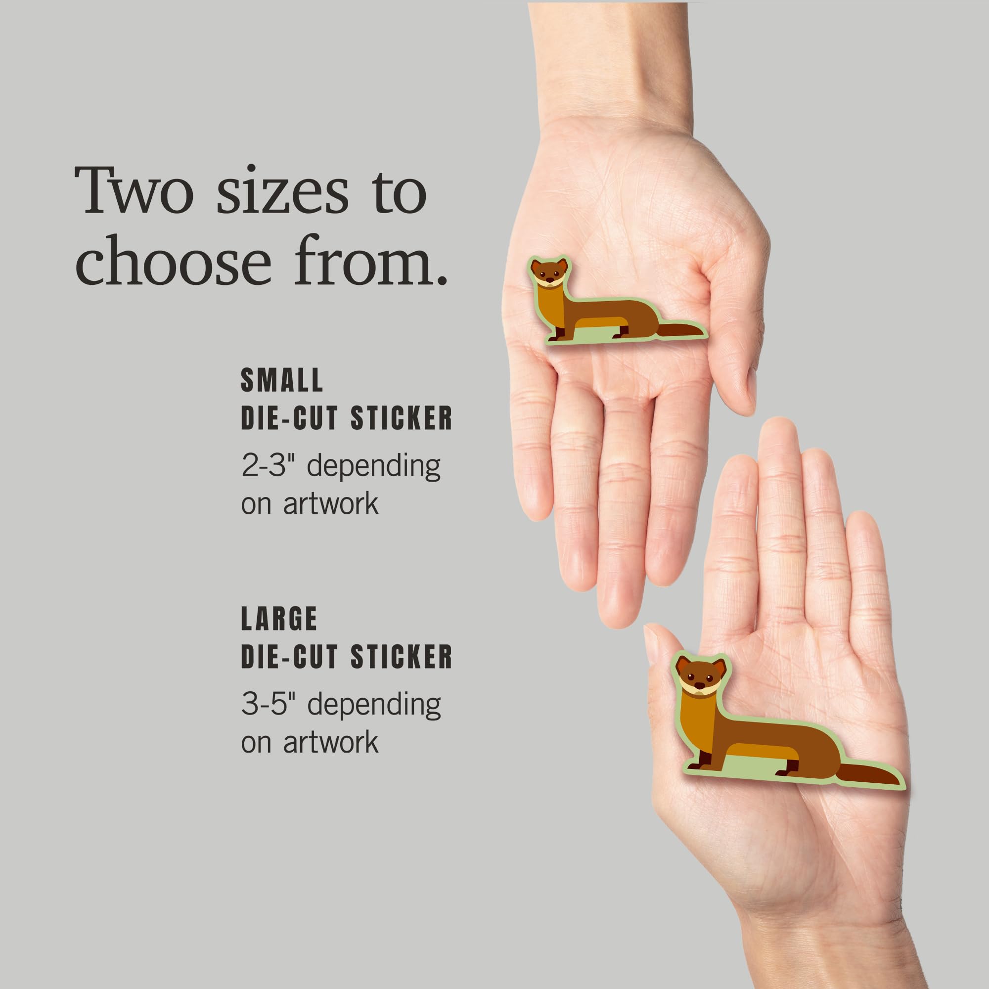 Amazon.com: Lantern Press Sticker Weasel Geometric Die Cut Vinyl