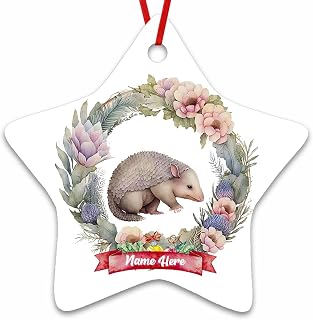 Dinoz Watercolor Merry Christmas Armadillo Animal Ornament, Floral Animal Ornament Peronalized Tree Hanging Gift Decorations Decor Keepsake Print Both Sided Ceramic Star Ornament
