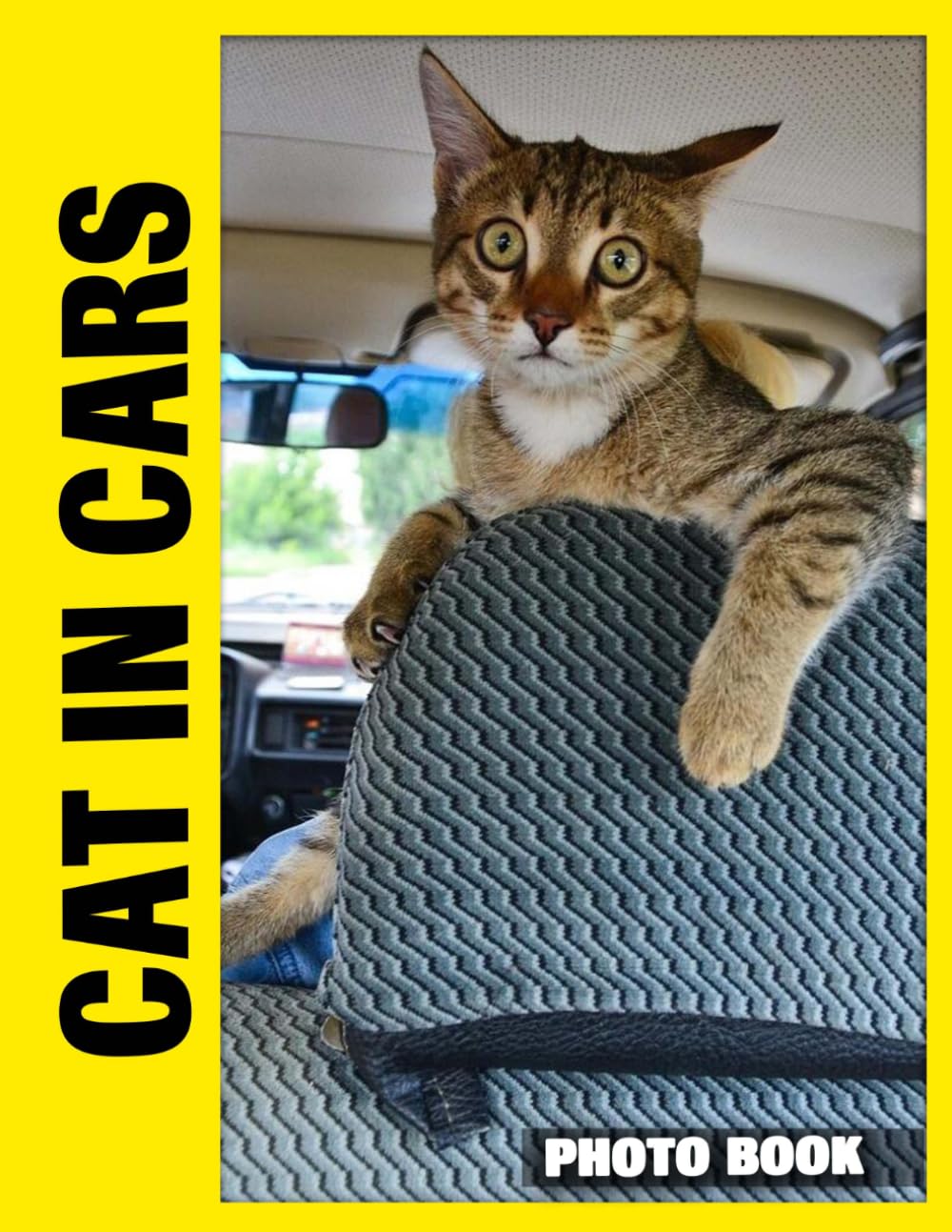 Cat in Cars Photo Book: Feline Friends Enjoying Car Rides In Playful Photography With Curious Adventures And Cozy Travel Moments