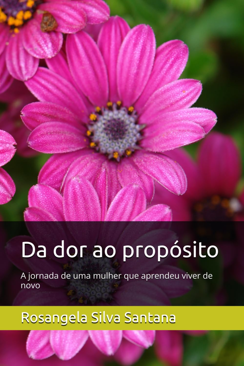 Da dor ao propósito: A jornada de uma mulher que aprendeu viver de novo