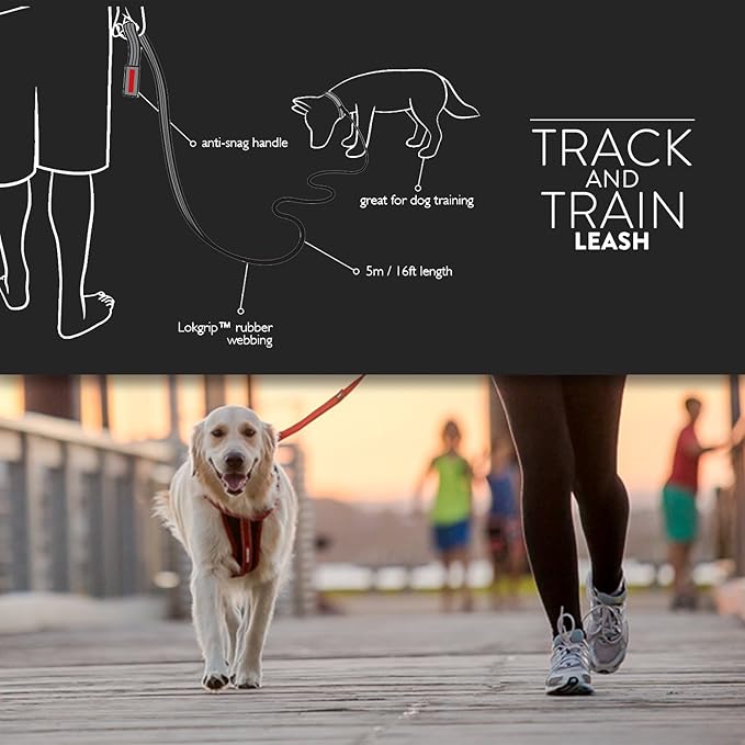 ezydog track n train