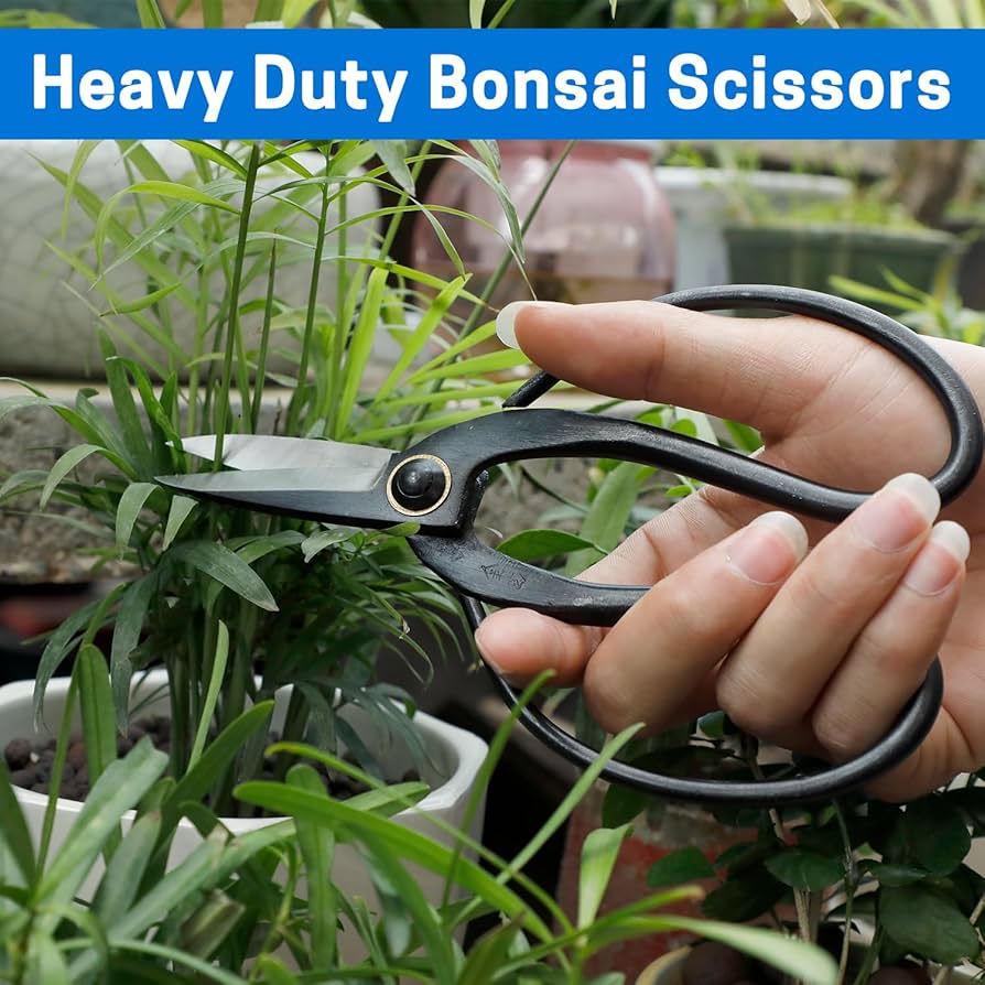 71pETY7EKgL._AC_UF894, 71pETY7EKgL._AC_UF894,