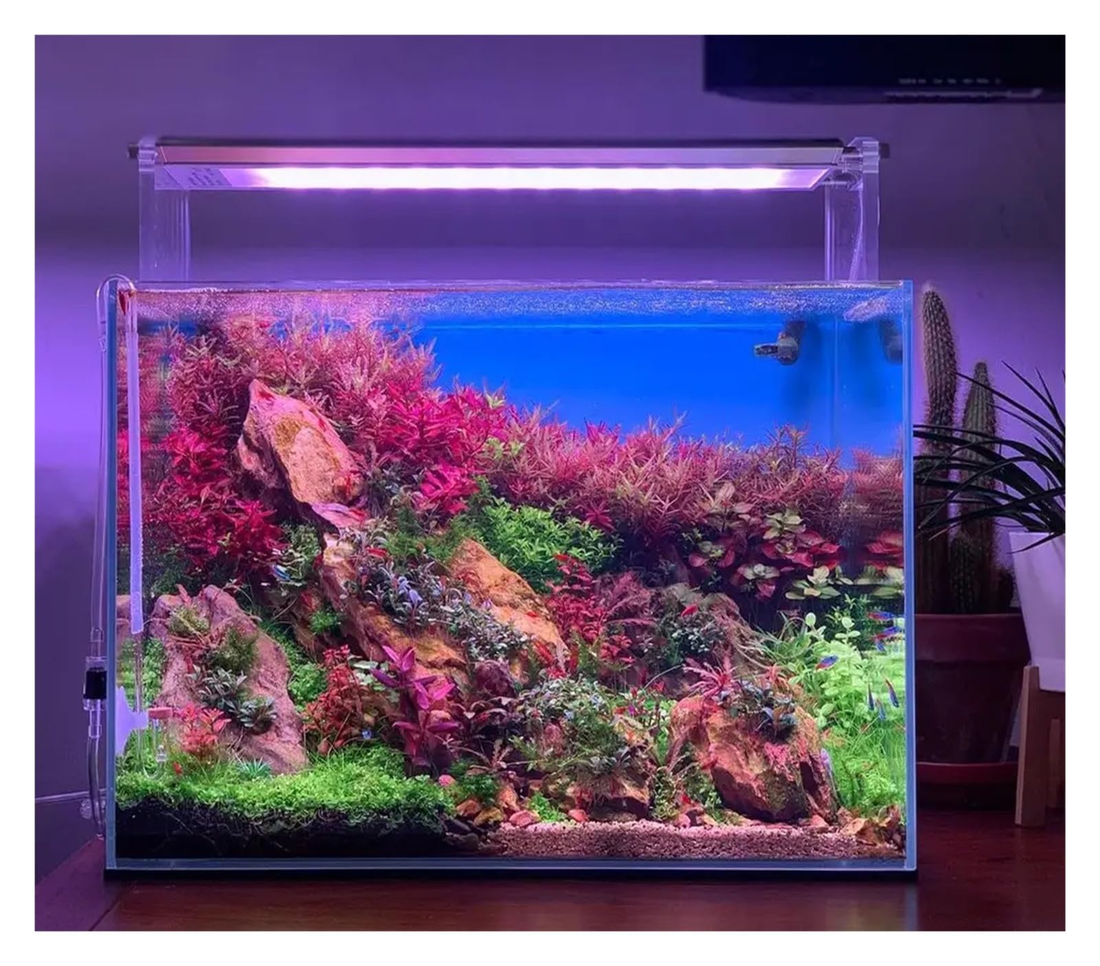 Amazon.co.jp: LEDアクアリウムライト RGB Led 水族館照明サイクル