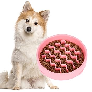 KASBHA Dog Slow Feeder Bowl,Slow Eating Dog Food Bowls Fun Interactive Anti-Gulping Dog Maze Puzzle Bowl Bloat Stop Slow Feeding Pet Bowl Eco-Friendly Dog Feeding Dishes for Small Medium Breeds