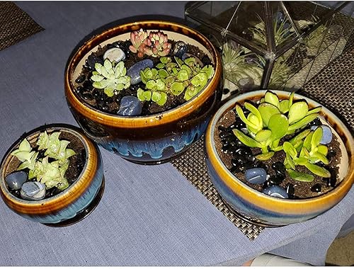 Miniatura 4 de Hedume Piedras decorativas de grava de 2 libras 710 a 910 pulgadas coloridas piedras de ágata mezcladas piedras pulidas naturales piedras batidas