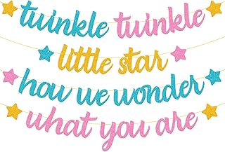 Twinkle Twinkle Little Star Banner How We Wonder What You Are Banner Gender Reveal Birthday Party Decoration Pink or Blue Boy or Girl He or She Theme Baby Shower Birthday Party Supplies