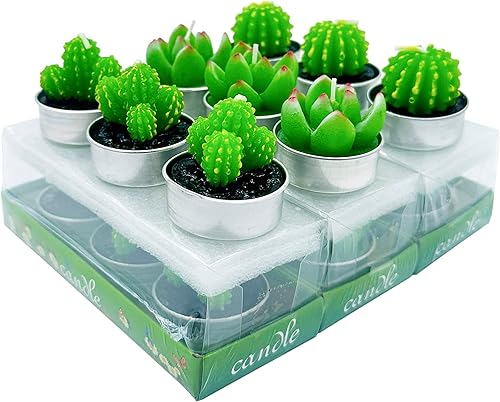 9 velas de té de cactus sin perfume con multicolor, velas de té de parafina, mini velas de mesa para el hogar, bodas, cumpleaños, velas decorativas