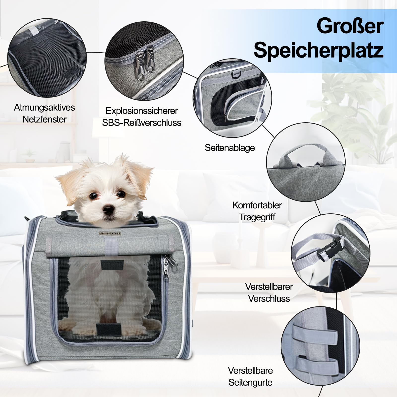 Cesta para perros para bicicleta, plegable, para perros pequeños