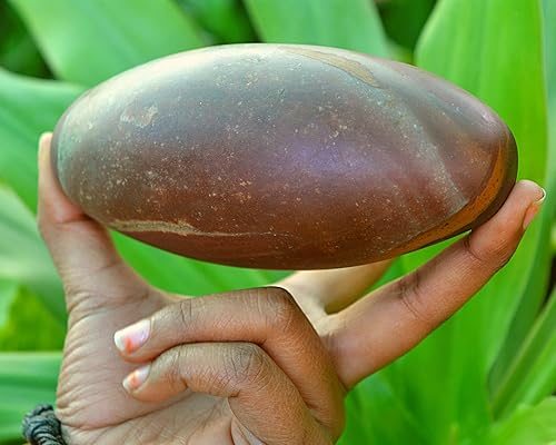 Miniatura 4 de Piedra de cristal especial Shiva Lingam Narmada Río India, piedra de meditación curativa del río Narmada en la India occidental y representa al dios