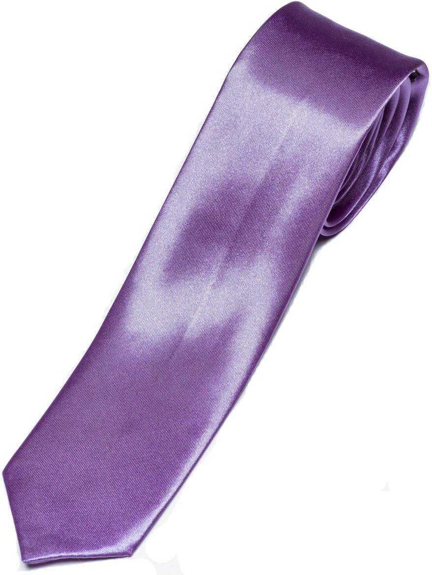 Premier - Cravate Slim Rétro - Homme (5 Couleurs) (RW1164