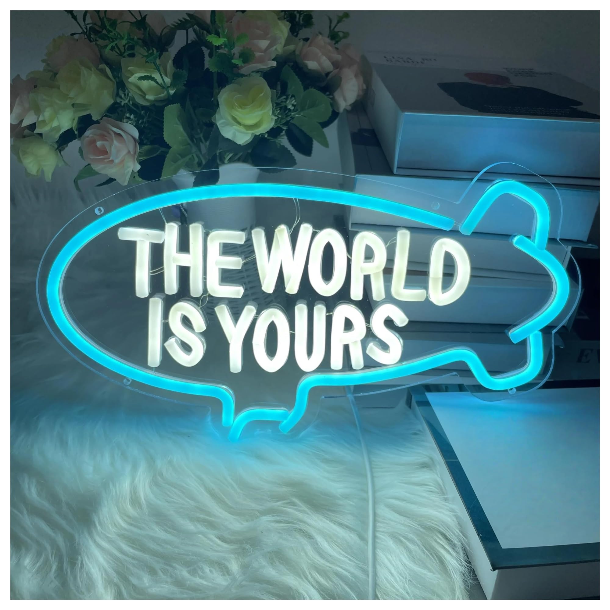 Lemst B Signs Lamp The World Is Yours Neon Signs Us Powered Adjustable Rightness Letter Lights Suitable For Clu Decor 30Cmx40cm(B)