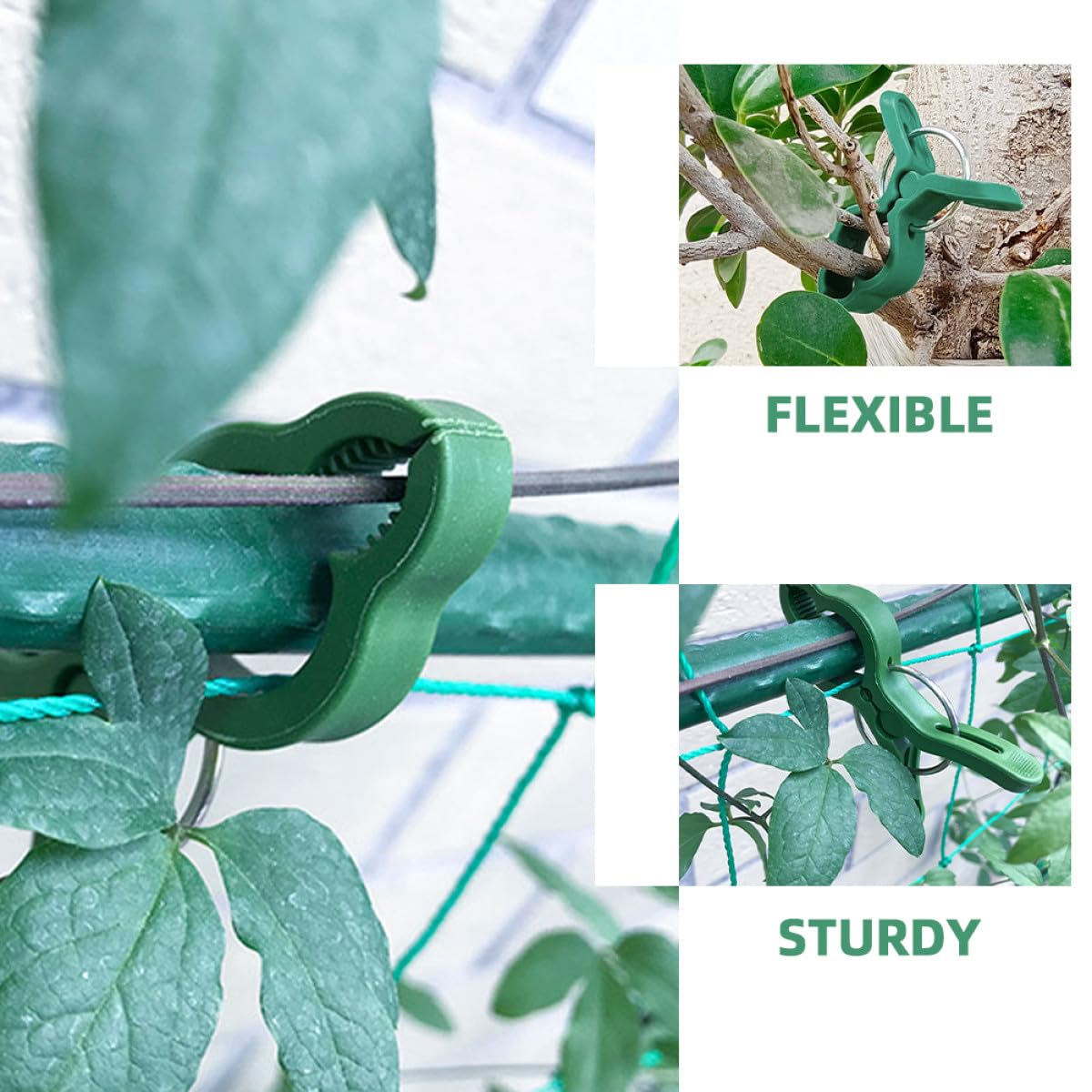 Clip per Piante Pomodoro 60pezzi, Sostegno per Orchidee e Piante Rampicanti, Clip di Fissaggio in Plastica Leggera per Giardino e Terrazza