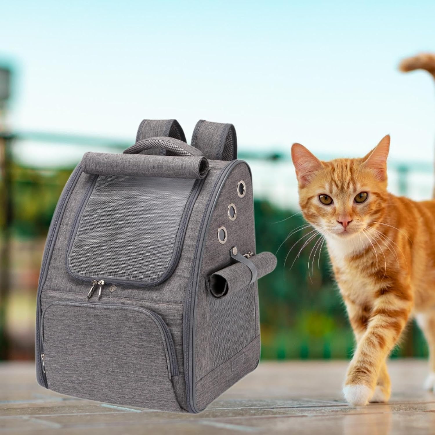 Outdoor Pet Backpack for Stylish Travel with Cat Or Dog, Gray(Gray)