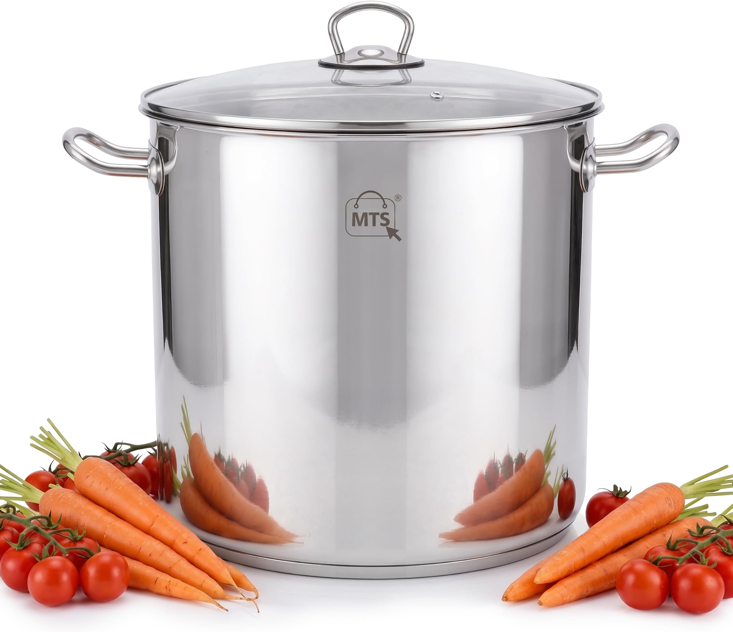 GEEZY Large Stainless Steel Stock Pot with Glass Lid 20 L - Induction Base, All Hob Compatible, Riveted Handles, Vented Cover, Dishwasher Safe - Essential Cooking Pan for Soups, Stews, Curry, Biryani