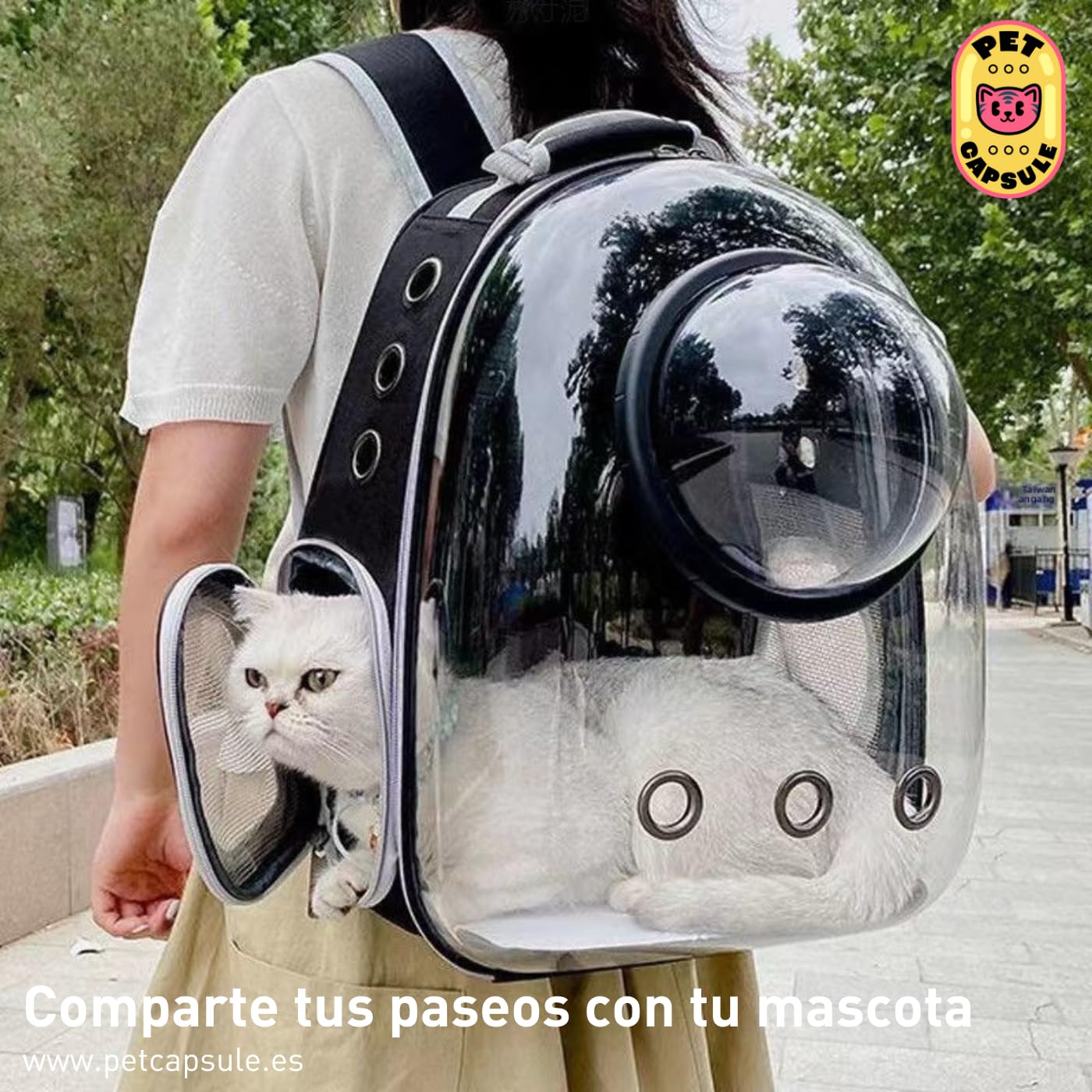 Mochila Transportín Gato y Perro Pequeño hasta 6 kg – Transportín Gatos Cápsula con Ventana Transparente y Cúpula Perforada – Mochila para Gatos Medidas Cabina Avión, Ventilación