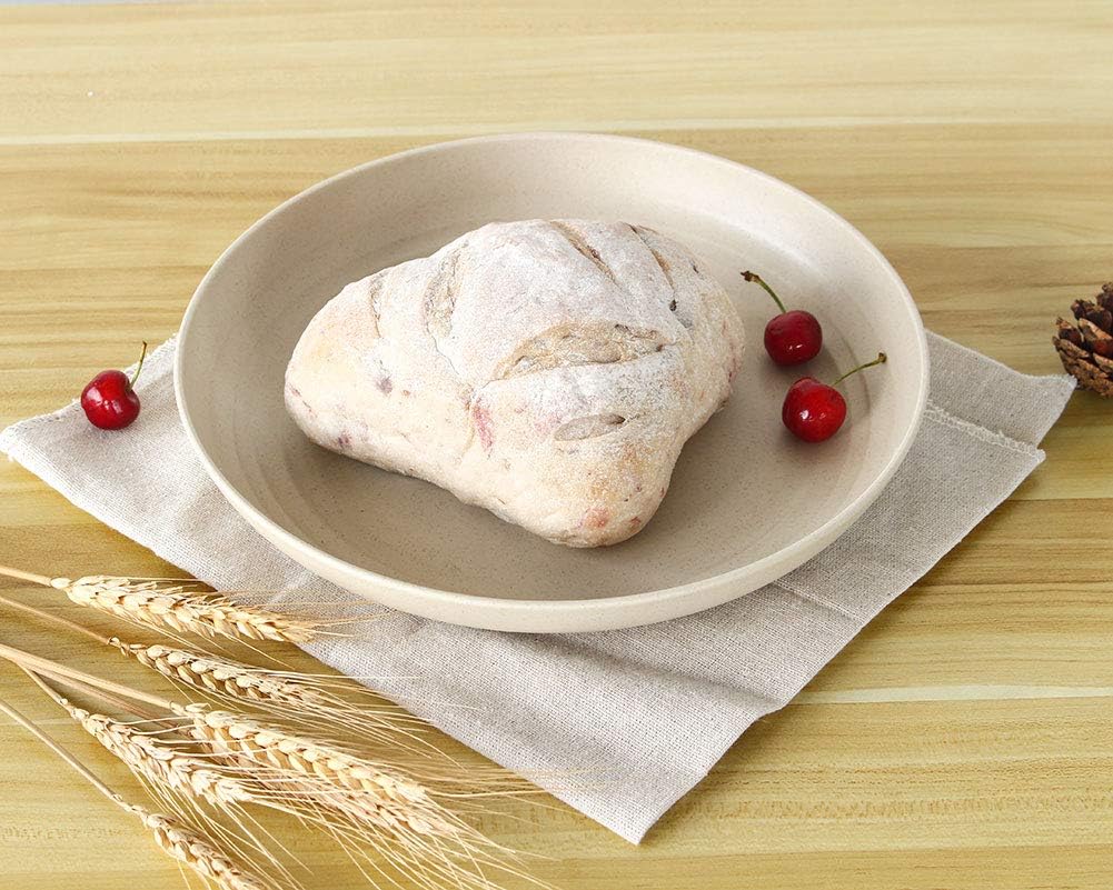 | JUCOXO 10 Inch Plastic Dinner Plates Reusable, Wheat Straw Plates Set of 4, ECO Friendly Camping Plates, Microwave Safe Kitchen Plates: Dinner Plates