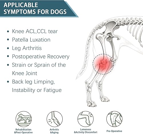 Miniatura 6 de Rodillera para perro para pierna trasera desgarrada del ACL, soporte para piernas traseras de perros, articulaciones cálidas y alivia el dolor en