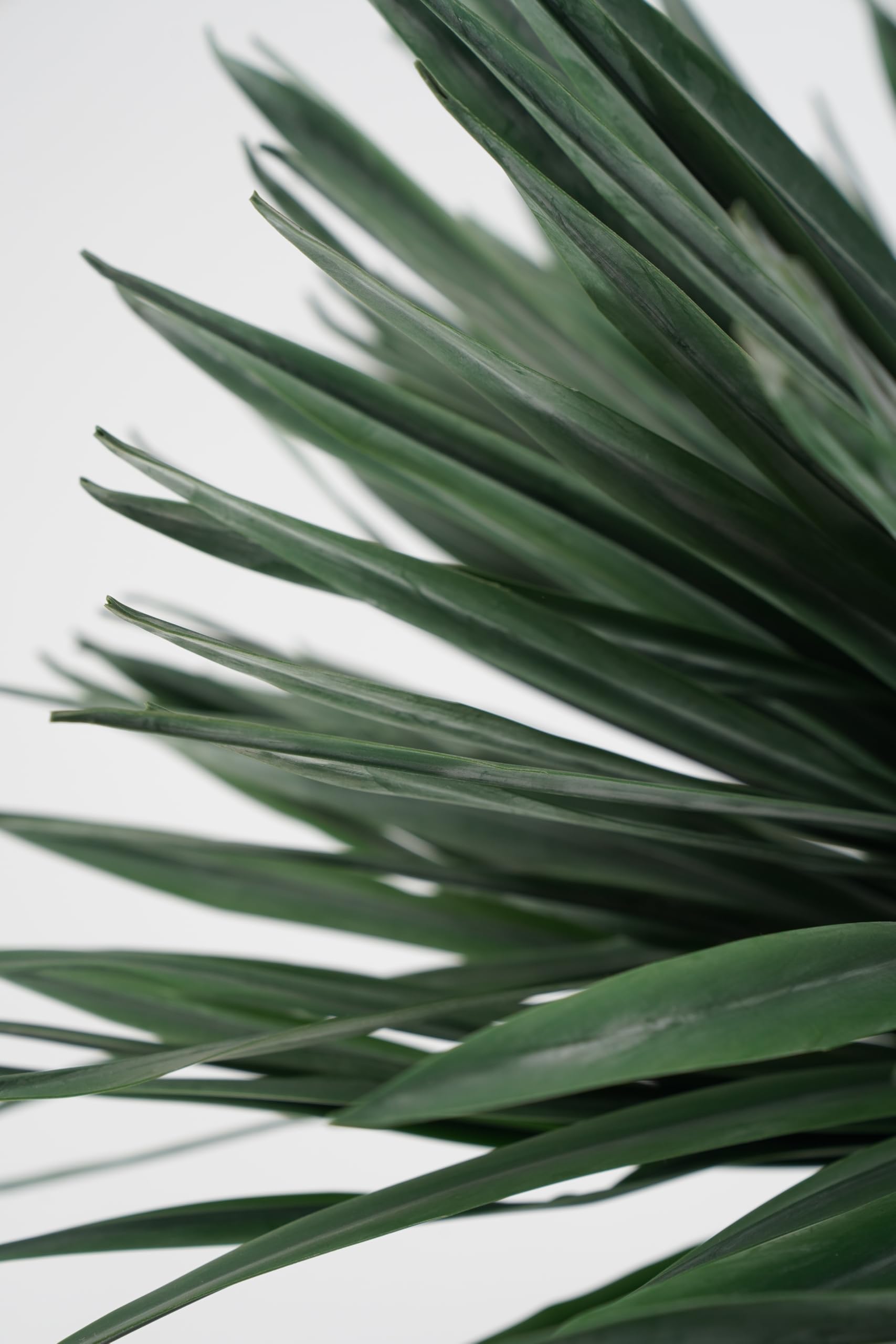 Yucca Pianta Grassa Sintetica da Arredamento Realistica 165 cm, Foglie PVC, per Spazi Interni, Abitazioni Residenziali e Attività Commerciali