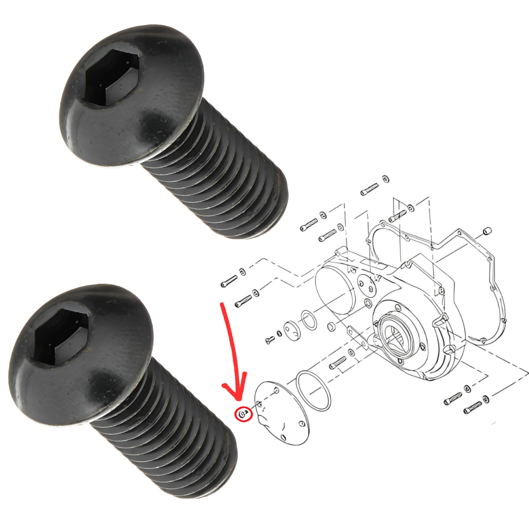 [Sunday Skull Club] Harley-Davidson Compatible Primary Cover Derby Inspection Stainless Hex Bolt Dyna Softail Sportster Touring Model FL FX XLH (2pcs Black Steel Material)
