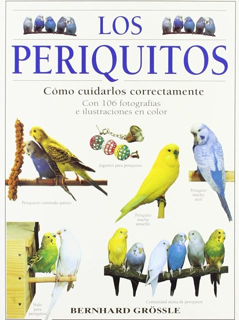 Portada de Los Periquitos: Como Cuidarlos Correctamente