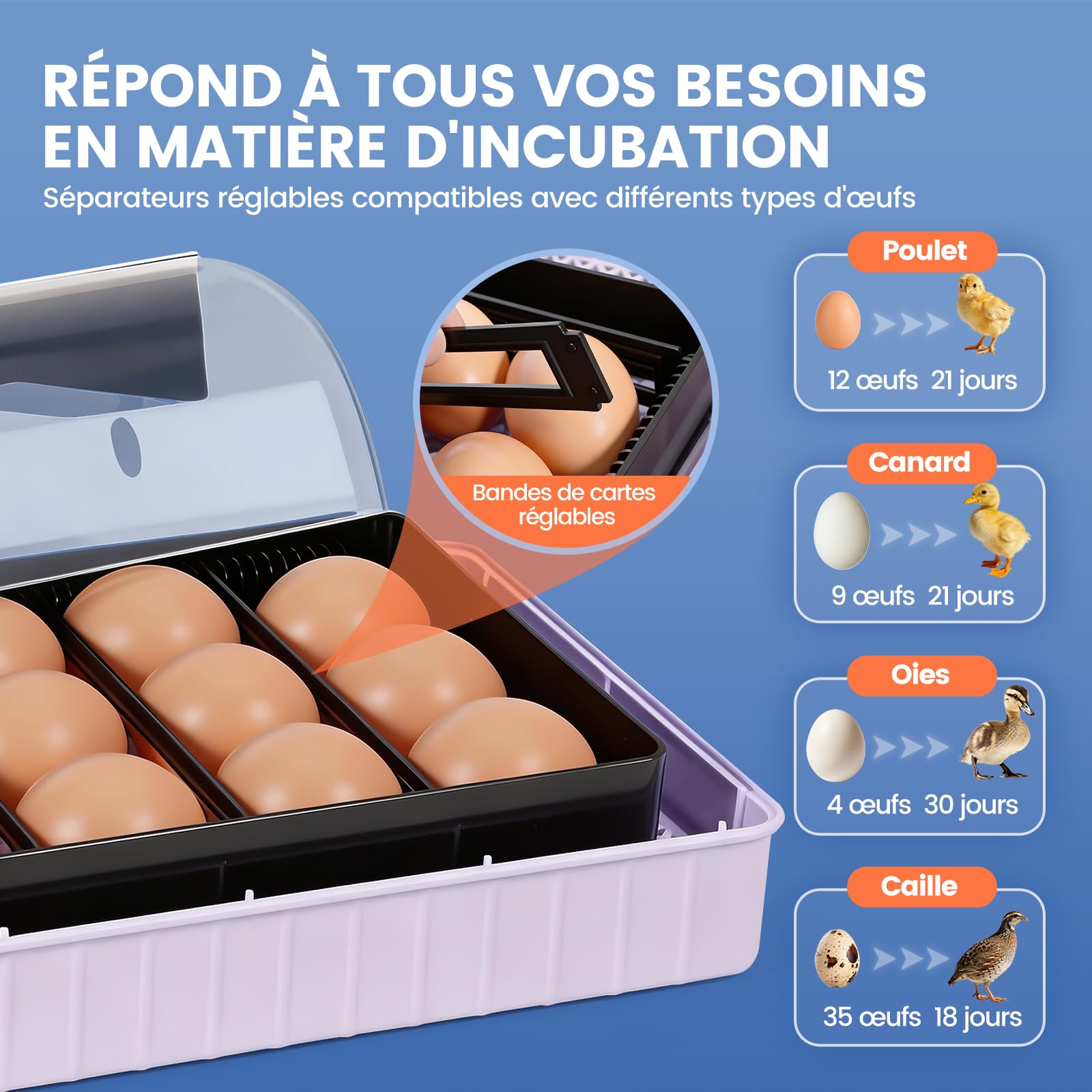 Couveuse Oeuf Automatique, 12 Couveuses Avec ContrôLe Intelligent Et PréCis de la TempéRature et de L'Humidité, éClairage Led Efficace, Incubateur Tortue, Adapté Aux Poules, Oies, Canards, Pigeons