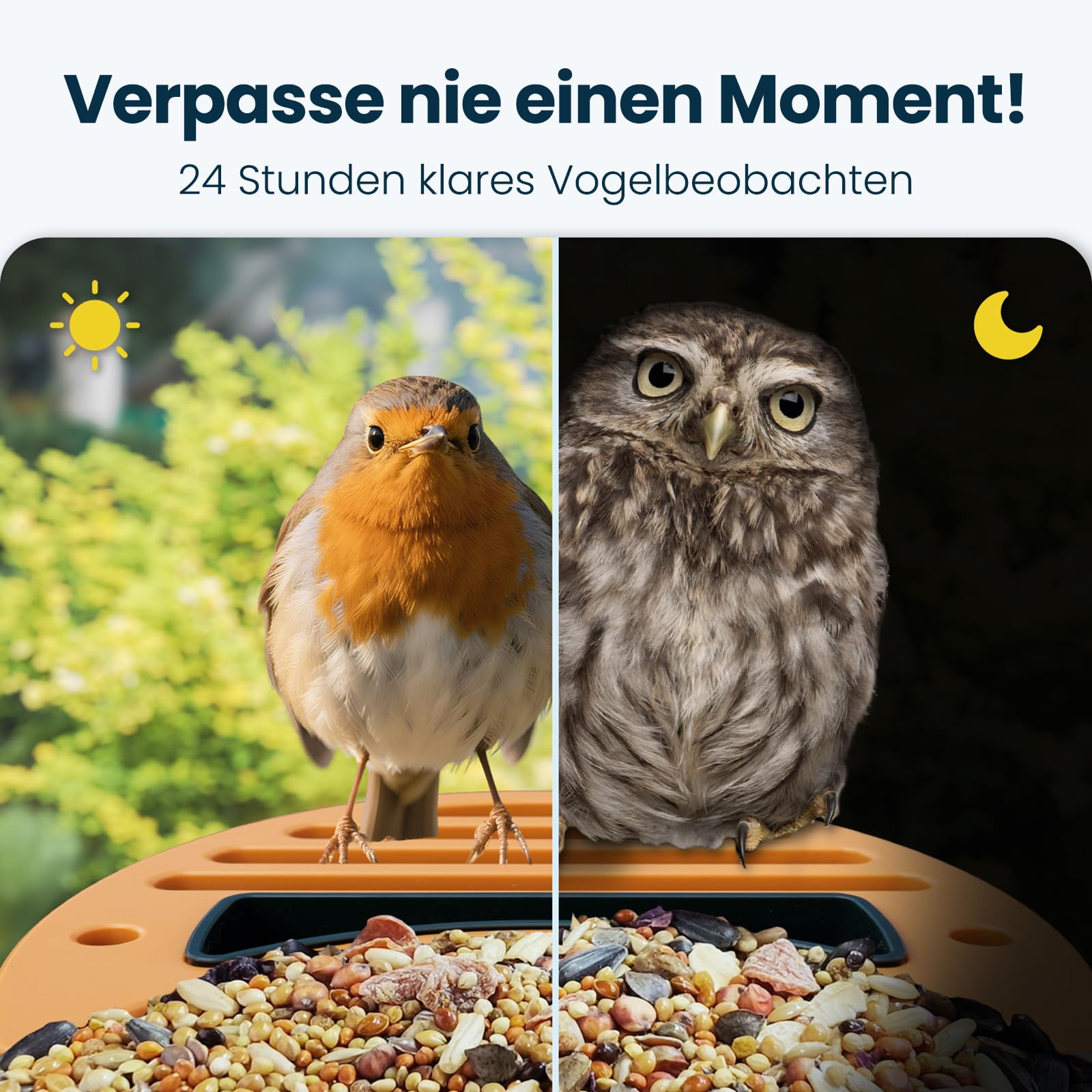 Vogelhaus mit Kamera, 2,5K UHD, solarbetrieben, präzise KI-Erkennung, sofortige Benachrichtigungen, wasserdicht nach IP66 für den Außenbereich, grün