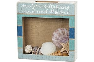Seashell Container: A Touch of Ocean Beauty for Your Home