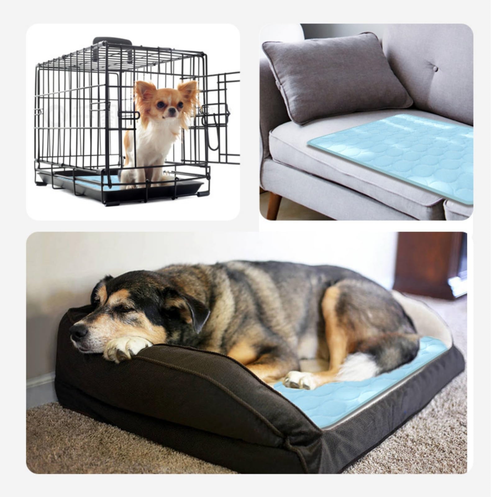 Générique Tapis Rafraichissant pour Chiens Et Chats, Fresh Pad pour Chien, Chat Coussin Chien Anti Chaleur, Matelas Réfrigérant Animaux, Portable, Lavable, Anti-Morsures (Bleu, XXL)