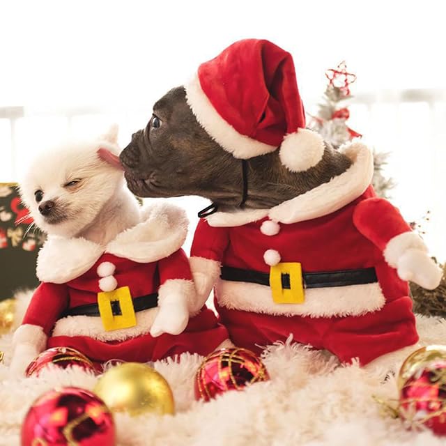 Foto 7 de 8 de Ropa de invierno para perros pequeños, disfraz de Navidad, gorro de Papá Noel y uniforme para gatos, perros